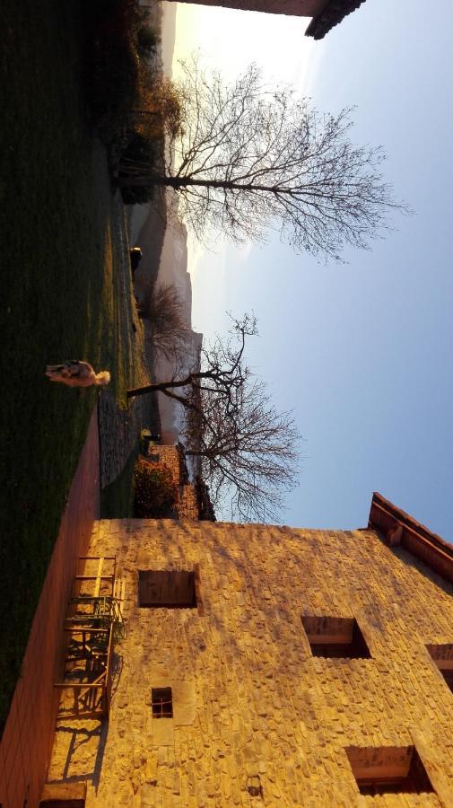 Zelaikoetxe Villa Ozeka Buitenkant foto